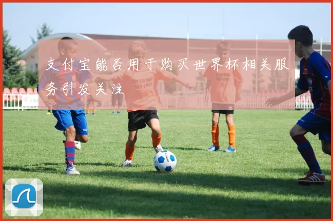支付宝能否用于购买世界杯相关服务引发关注