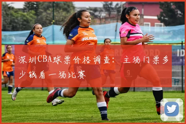 深圳CBA球票价格调查:主场门票多少钱看一场比赛
