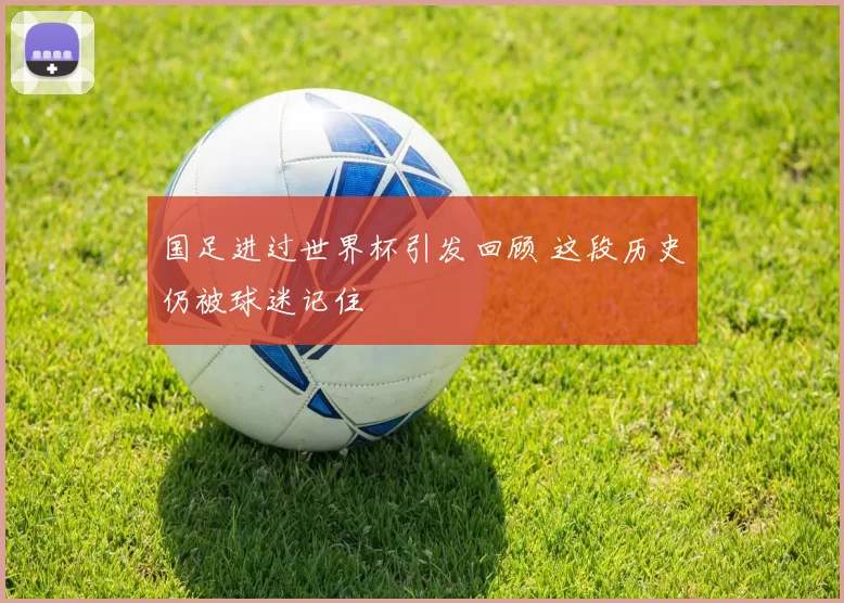 国足进过世界杯引发回顾 这段历史仍被球迷记住