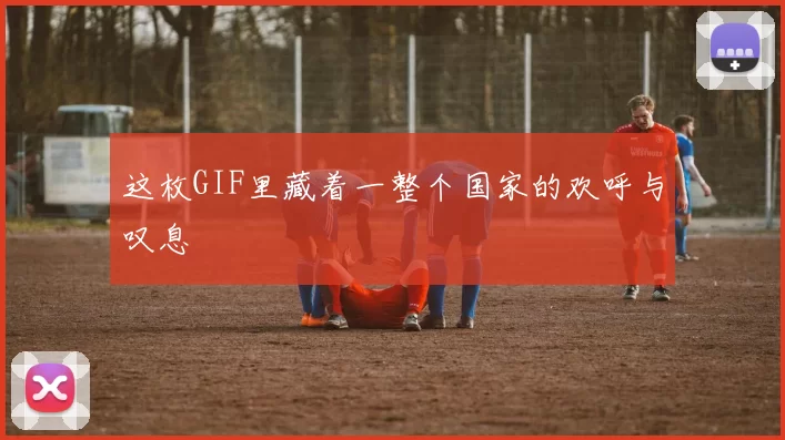 这枚GIF里藏着一整个国家的欢呼与叹息
