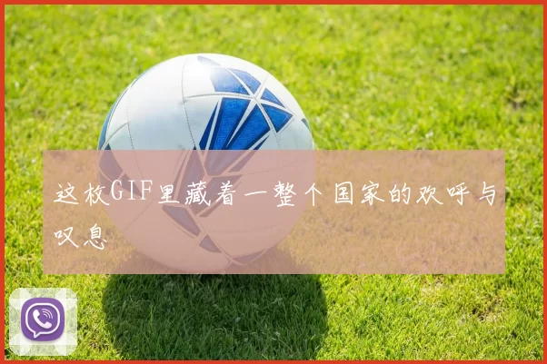 这枚GIF里藏着一整个国家的欢呼与叹息