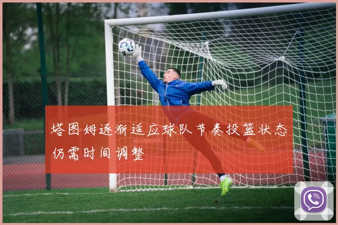 塔图姆逐渐适应球队节奏投篮状态仍需时间调整