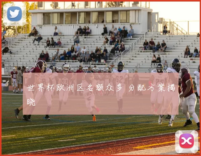世界杯欧洲区名额众多 分配方案揭晓