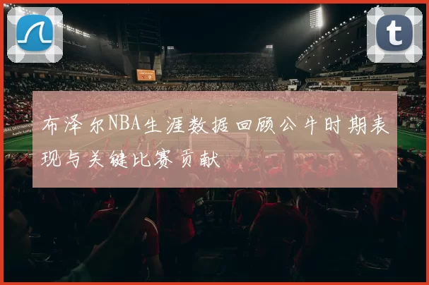 布泽尔NBA生涯数据回顾公牛时期表现与关键比赛贡献