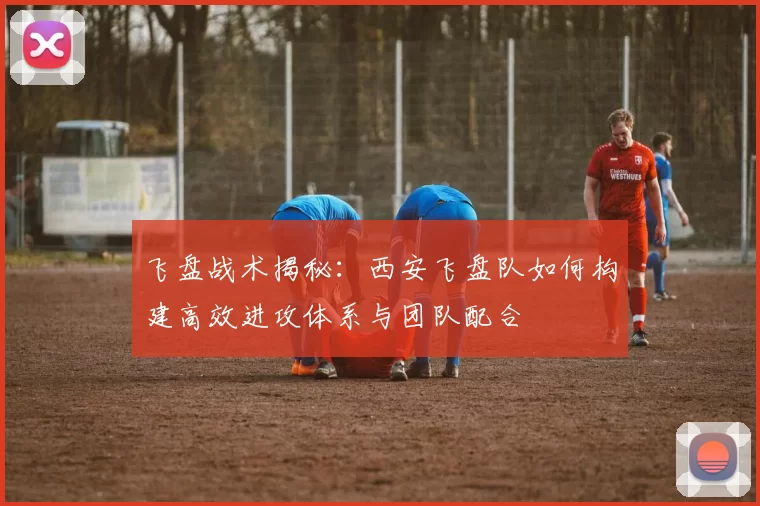 飞盘战术揭秘：西安飞盘队如何构建高效进攻体系与团队配合