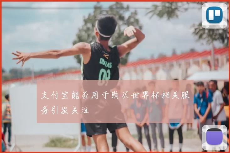 支付宝能否用于购买世界杯相关服务引发关注