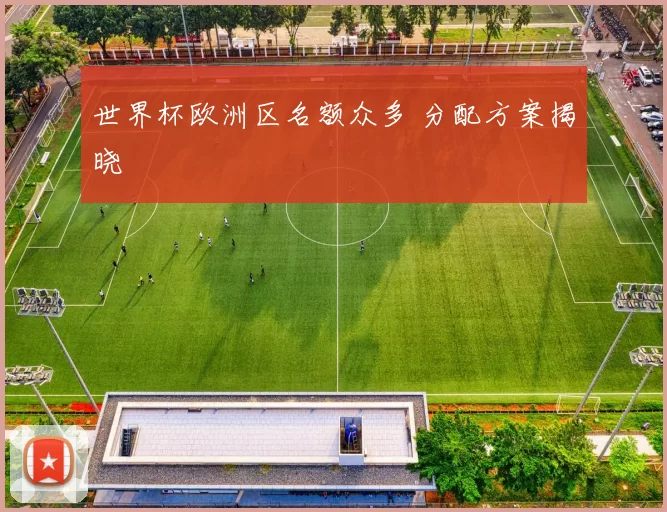 世界杯欧洲区名额众多 分配方案揭晓