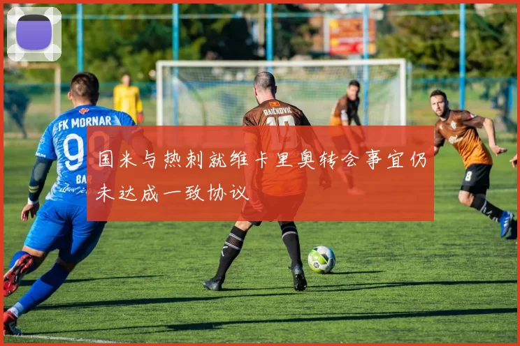 国米与热刺就维卡里奥转会事宜仍未达成一致协议
