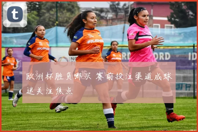 欧洲杯胜负哪买 赛前投注渠道成球迷关注焦点