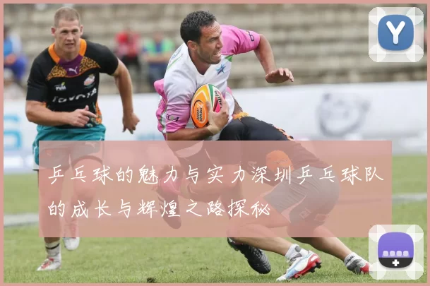乒乓球的魅力与实力深圳乒乓球队的成长与辉煌之路探秘