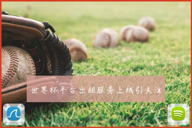世界杯平台出租服务上线引关注